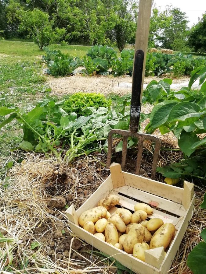 La Planche Princée, Chambres d'hôtes écolo et Potager bio, Sauna Les Rosiers Extérieur photo
