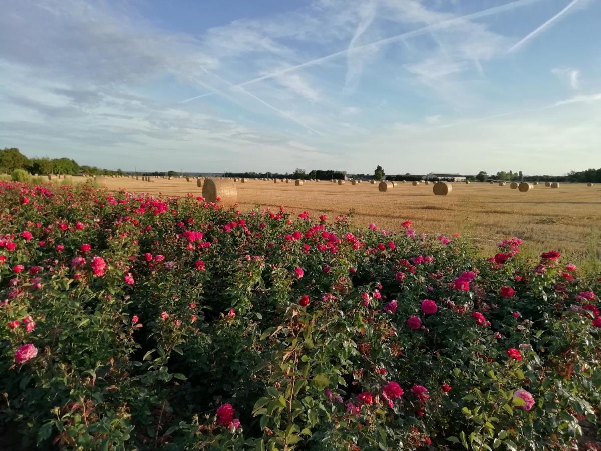 La Planche Princée, Chambres d'hôtes écolo et Potager bio, Sauna Les Rosiers Extérieur photo